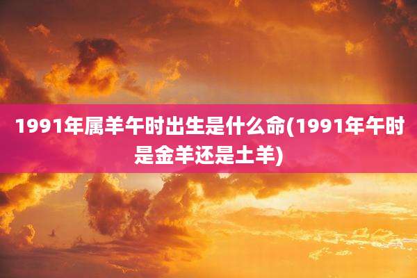 1991年属羊午时出生是什么命(1991年午时是金羊还是土羊)