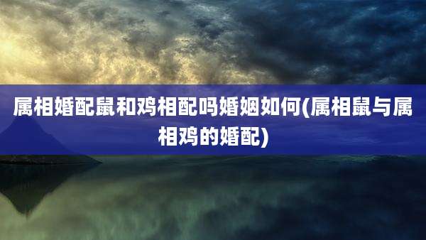 属相婚配鼠和鸡相配吗婚姻如何(属相鼠与属相鸡的婚配)