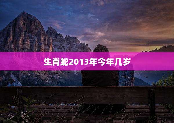 生肖蛇2013年今年几岁