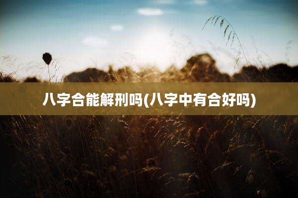 八字合能解刑吗(八字中有合好吗)