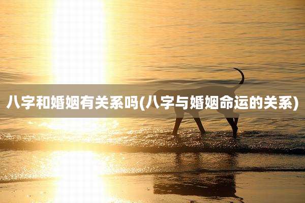 八字和婚姻有关系吗(八字与婚姻命运的关系)