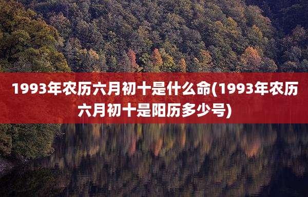 1993年农历六月初十是什么命(1993年农历六月初十是阳历多少号)