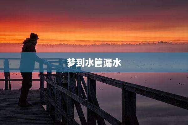梦到水管漏水