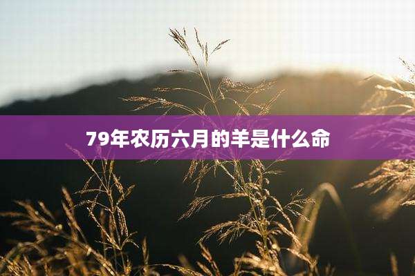 79年农历六月的羊是什么命