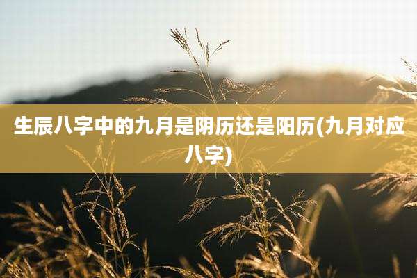 生辰八字中的九月是阴历还是阳历(九月对应八字)