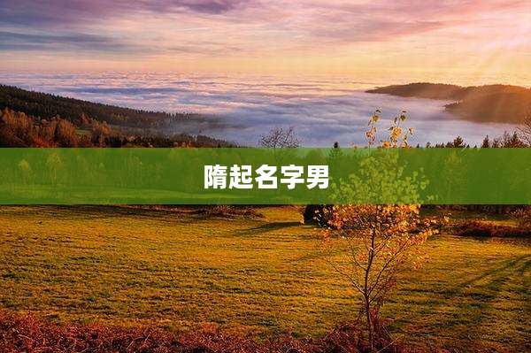 隋起名字男