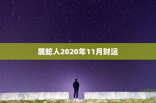 属蛇人2020年11月财运