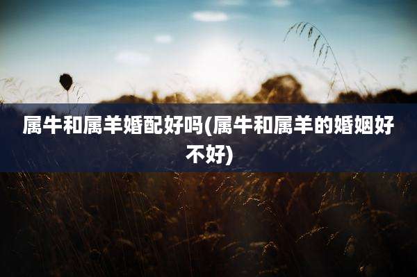 属牛和属羊婚配好吗(属牛和属羊的婚姻好不好)