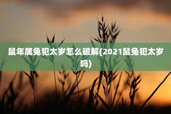 鼠年属兔犯太岁怎么破解(2021鼠兔犯太岁吗)