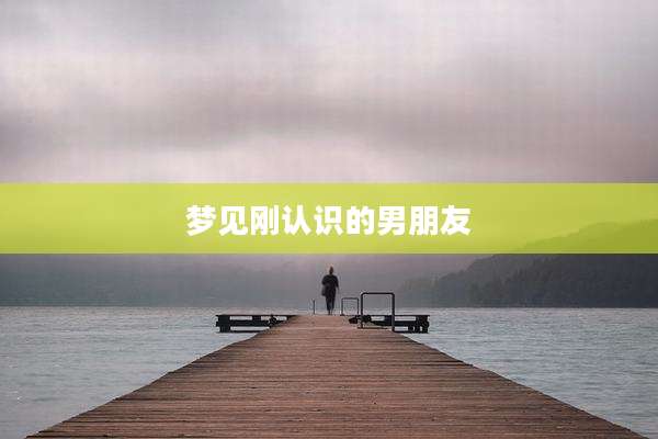 梦见刚认识的男朋友