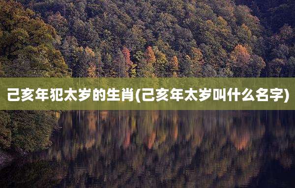 己亥年犯太岁的生肖(己亥年太岁叫什么名字)