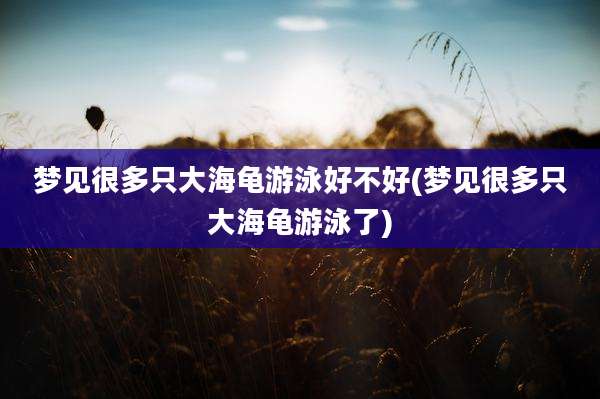 梦见很多只大海龟游泳好不好(梦见很多只大海龟游泳了)