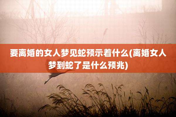 要离婚的女人梦见蛇预示着什么(离婚女人梦到蛇了是什么预兆)