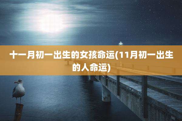 十一月初一出生的女孩命运(11月初一出生的人命运)