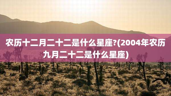 农历十二月二十二是什么星座?(2004年农历九月二十二是什么星座)