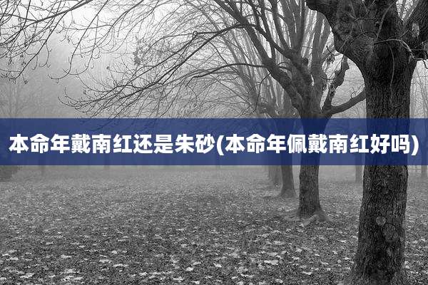 本命年戴南红还是朱砂(本命年佩戴南红好吗)