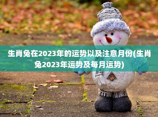 生肖兔在2023年的运势以及注意月份(生肖兔2023年运势及每月运势)