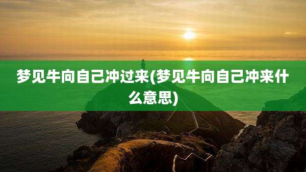 梦见牛向自己冲过来(梦见牛向自己冲来什么意思)