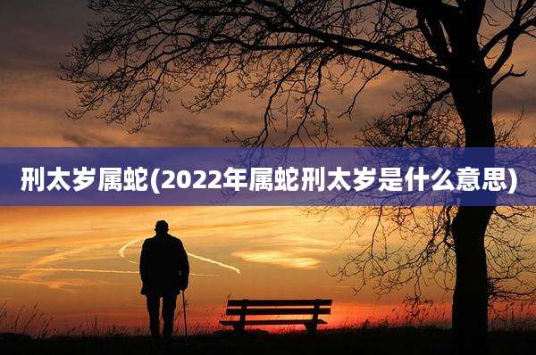 刑太岁属蛇(2022年属蛇刑太岁是什么意思)