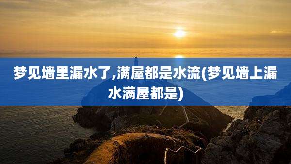 梦见墙里漏水了,满屋都是水流(梦见墙上漏水满屋都是)