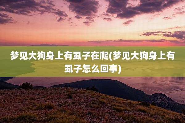 梦见大狗身上有虱子在爬(梦见大狗身上有虱子怎么回事)