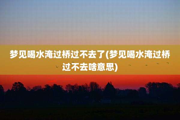 梦见喝水淹过桥过不去了(梦见喝水淹过桥过不去啥意思)