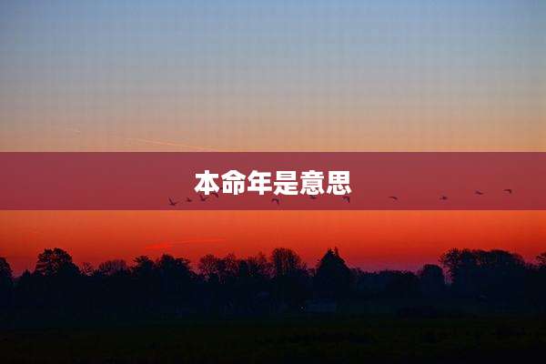 本命年是意思
