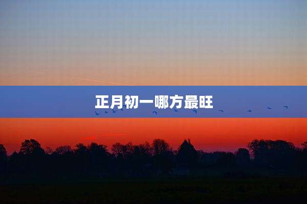 正月初一哪方最旺