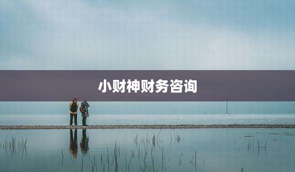 小财神财务咨询