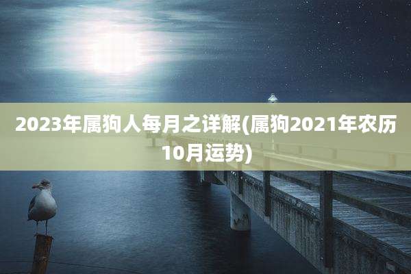 2023年属狗人每月之详解(属狗2021年农历10月运势)