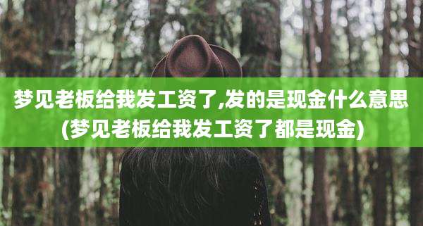 梦见老板给我发工资了,发的是现金什么意思(梦见老板给我发工资了都是现金)