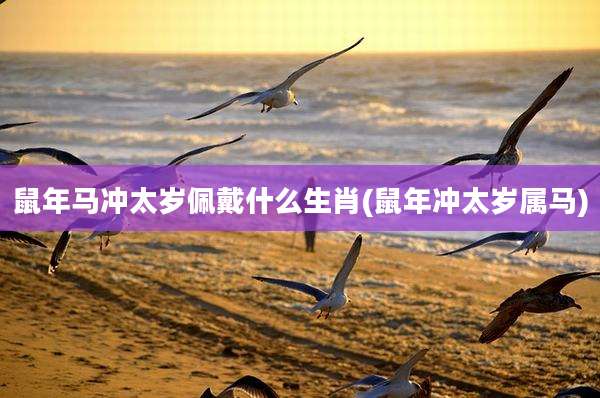 鼠年马冲太岁佩戴什么生肖(鼠年冲太岁属马)