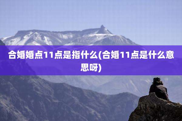 合婚婚点11点是指什么(合婚11点是什么意思呀)