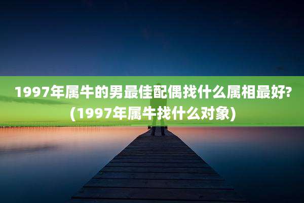 1997年属牛的男最佳配偶找什么属相最好?(1997年属牛找什么对象)