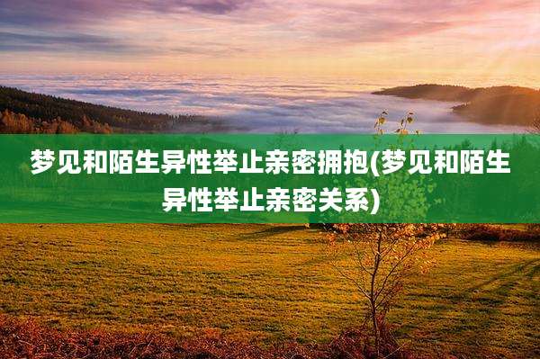 梦见和陌生异性举止亲密拥抱(梦见和陌生异性举止亲密关系)
