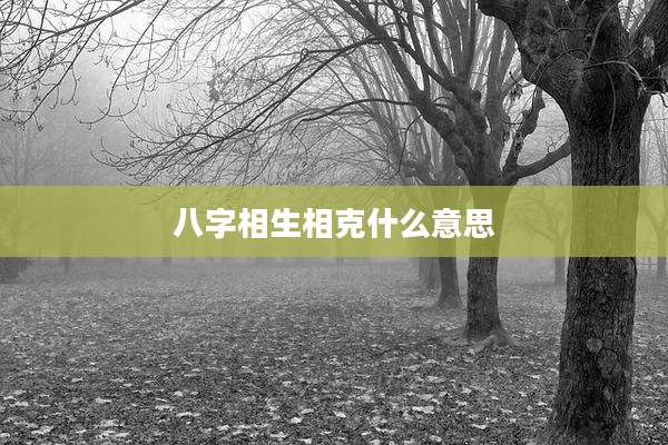 八字相生相克什么意思