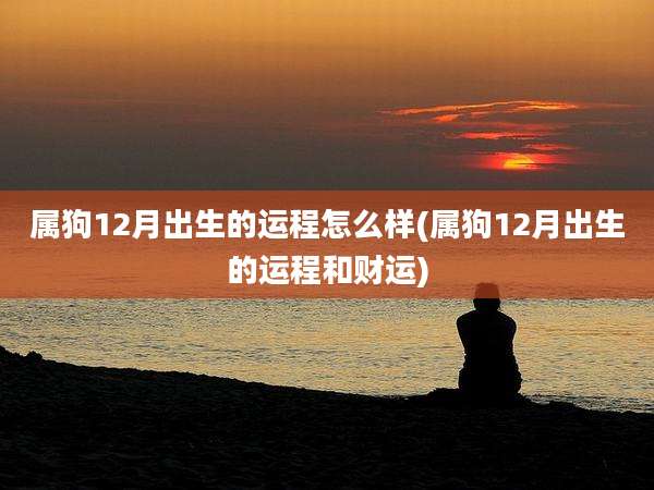 属狗12月出生的运程怎么样(属狗12月出生的运程和财运)