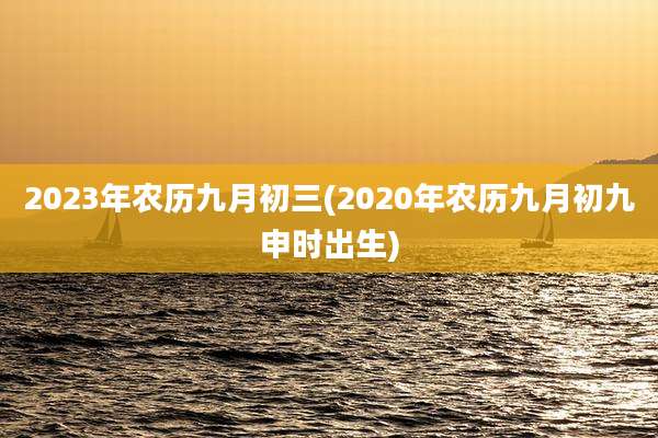 2023年农历九月初三(2020年农历九月初九申时出生)
