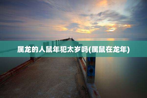 属龙的人鼠年犯太岁吗(属鼠在龙年)