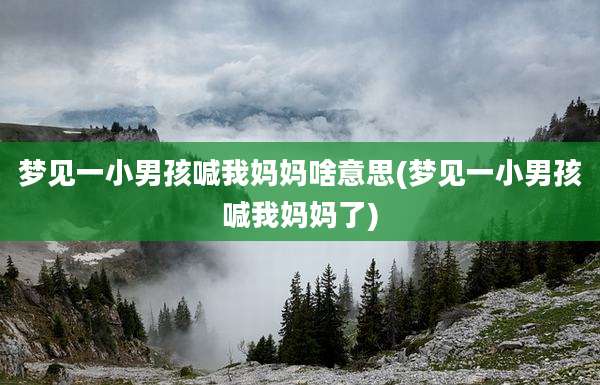 梦见一小男孩喊我妈妈啥意思(梦见一小男孩喊我妈妈了)