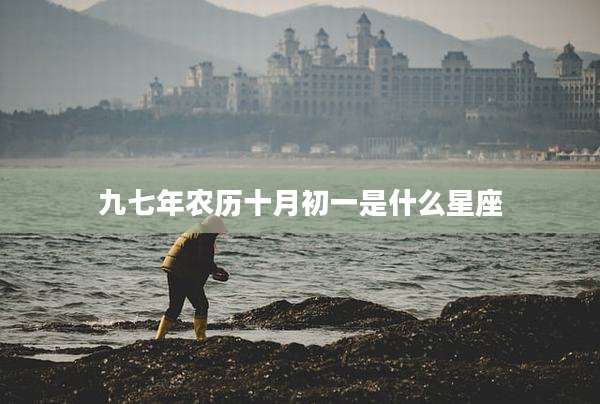 九七年农历十月初一是什么星座