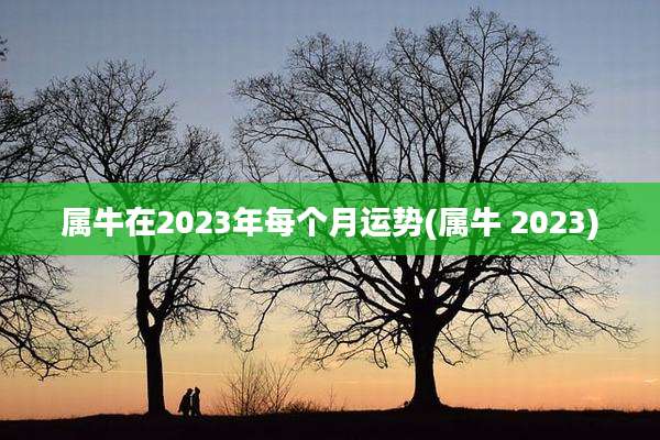 属牛在2023年每个月运势(属牛 2023)