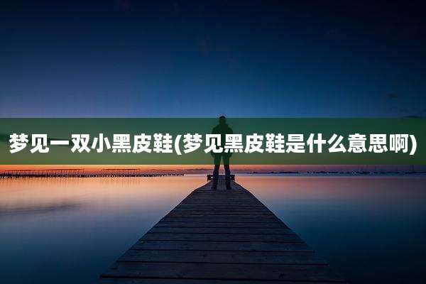 梦见一双小黑皮鞋(梦见黑皮鞋是什么意思啊)