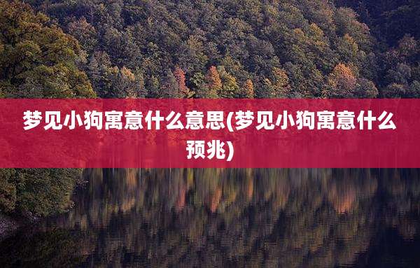 梦见小狗寓意什么意思(梦见小狗寓意什么预兆)