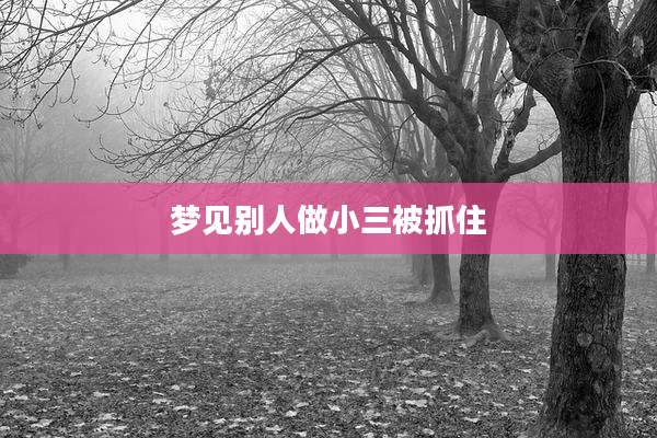梦见别人做小三被抓住