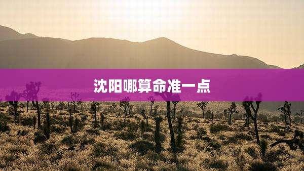 沈阳哪算命准一点