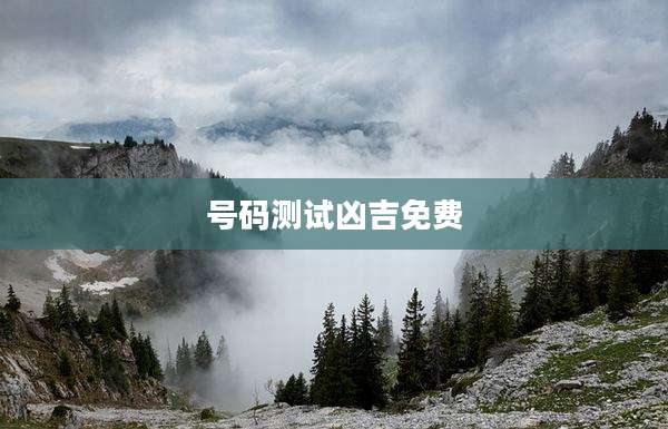 号码测试凶吉免费