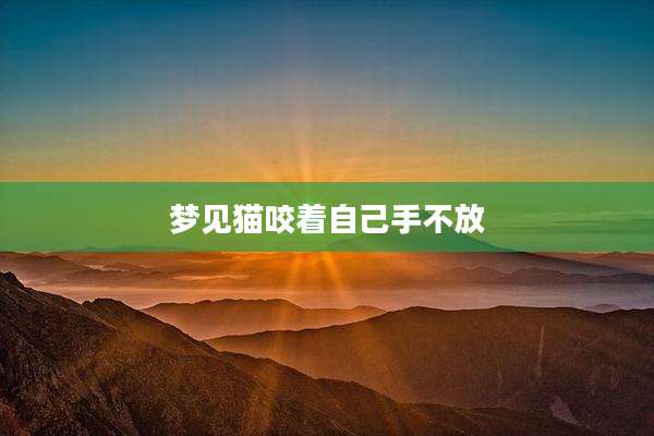 梦见猫咬着自己手不放