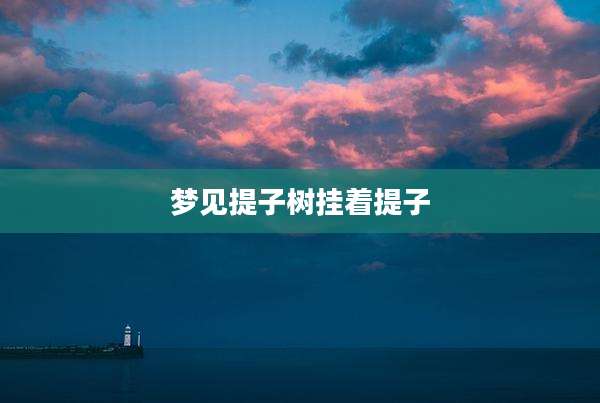 梦见提子树挂着提子