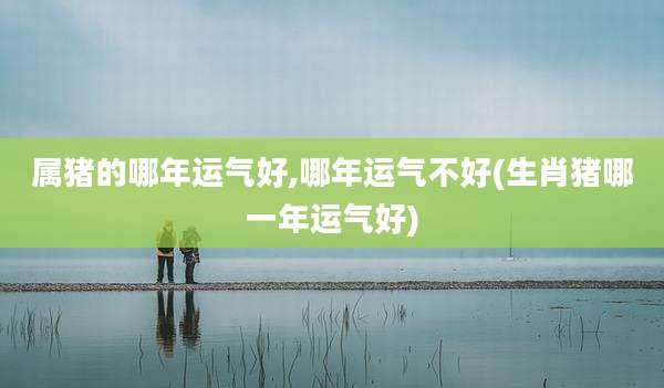 属猪的哪年运气好,哪年运气不好(生肖猪哪一年运气好)